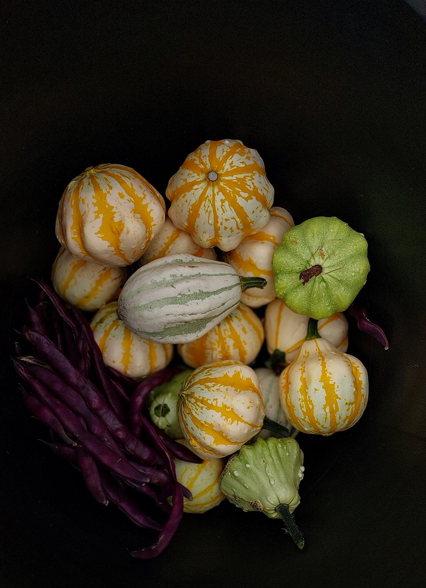 Ornamental Gourds
