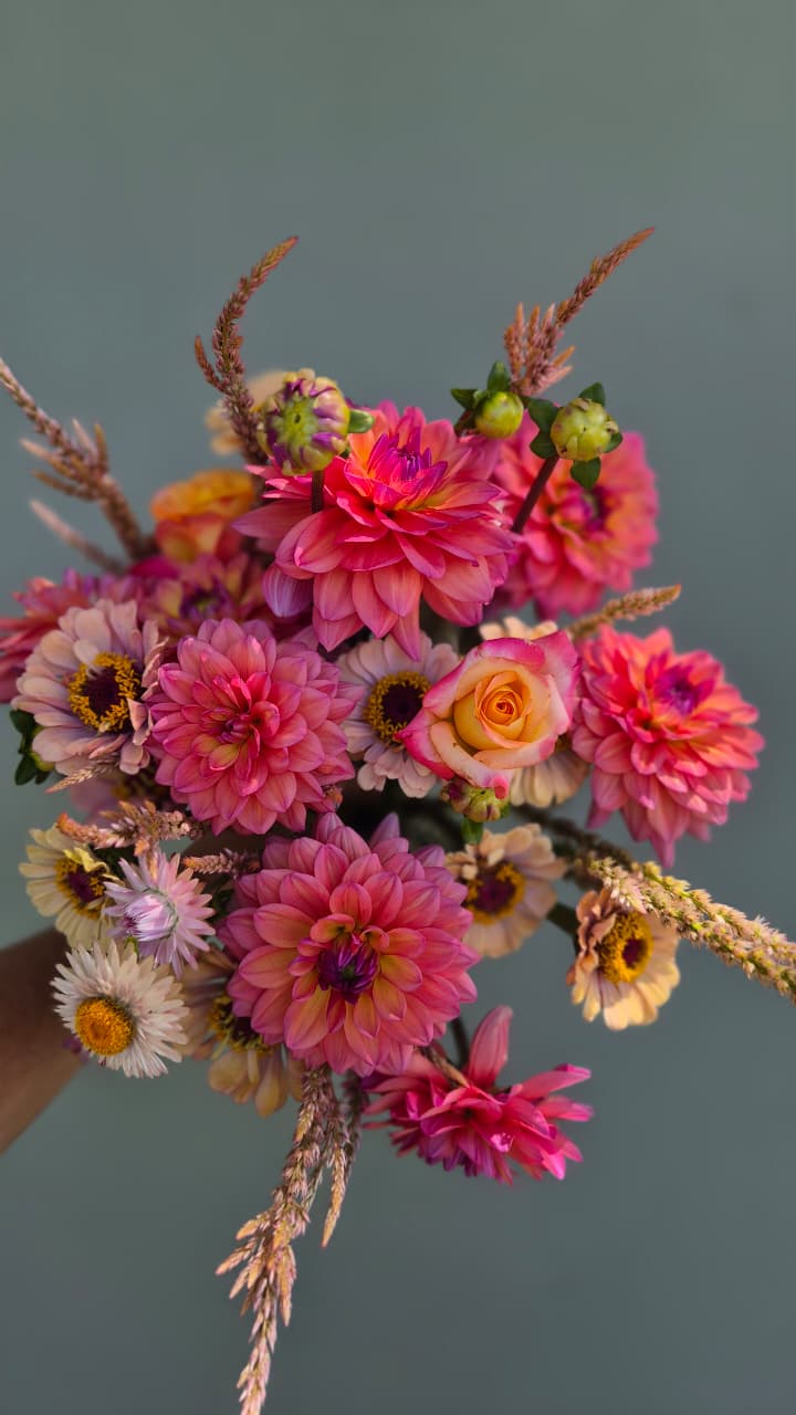 Dahlia “Great Silence"