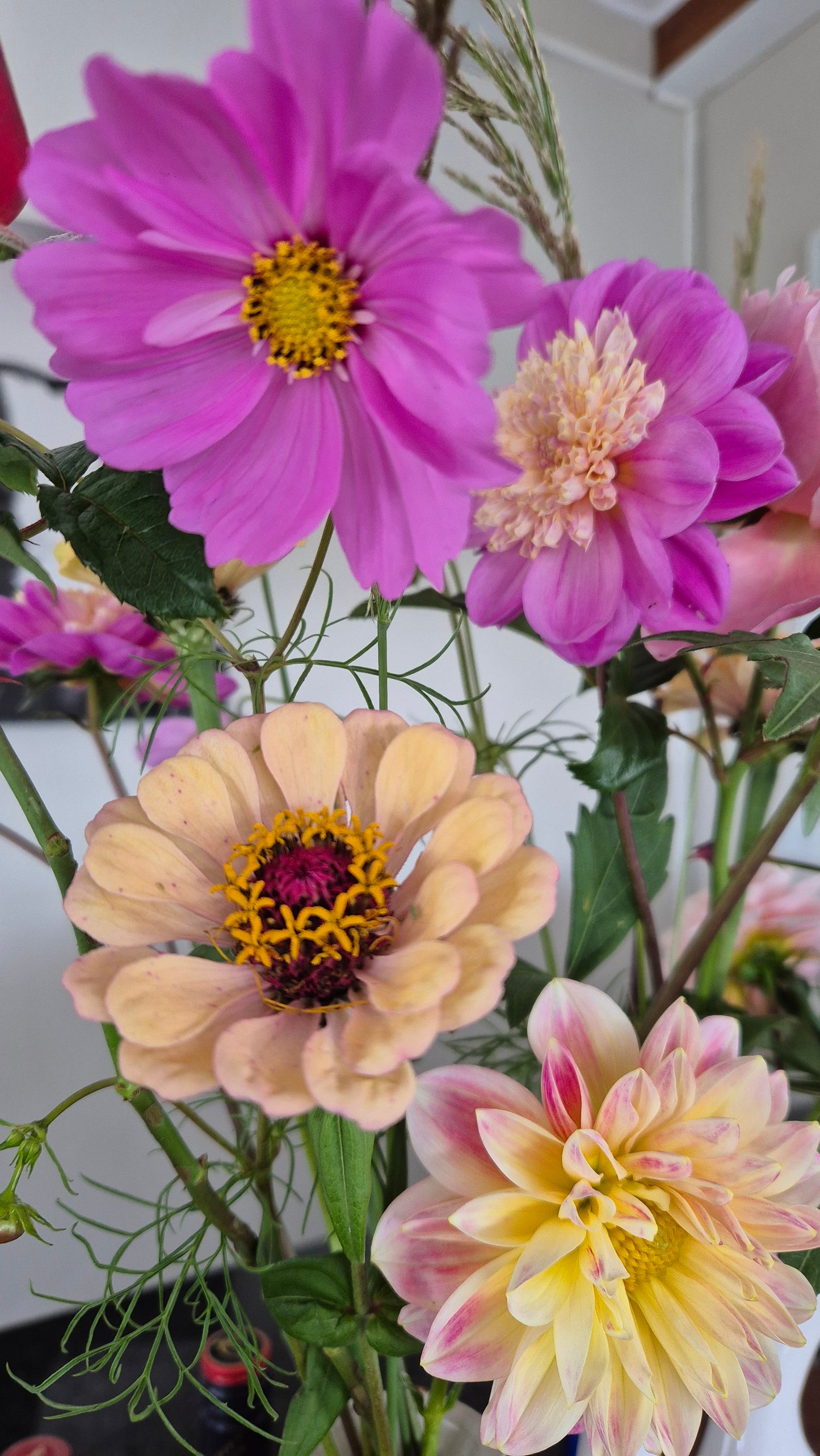 Zinnia Little Flower Girl